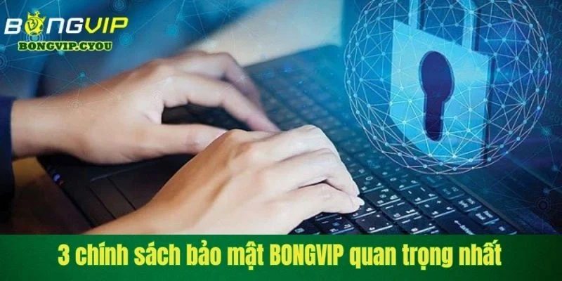 3 chinh sach bao mat bongvip quan trong nhat 3 chính sách bảo mật BONGVIP quan trọng nhất