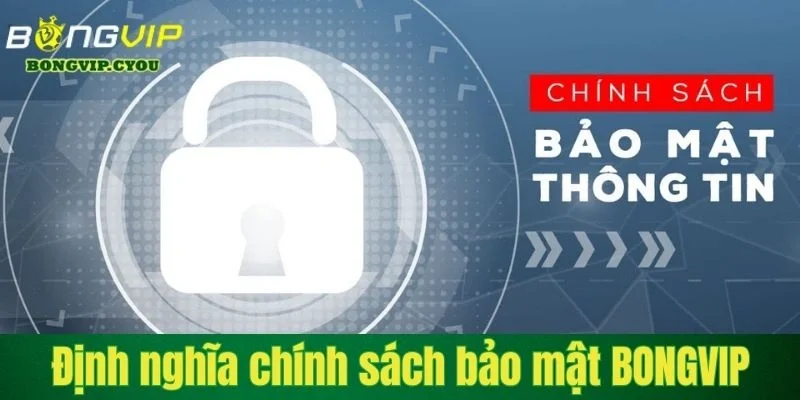 dinh nghia chinh sach bao mat bongvip Định nghĩa chính sách bảo mật BONGVIP
